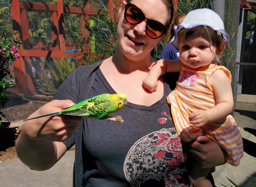 Budgie & the beb (at Point Defiance Zoo)